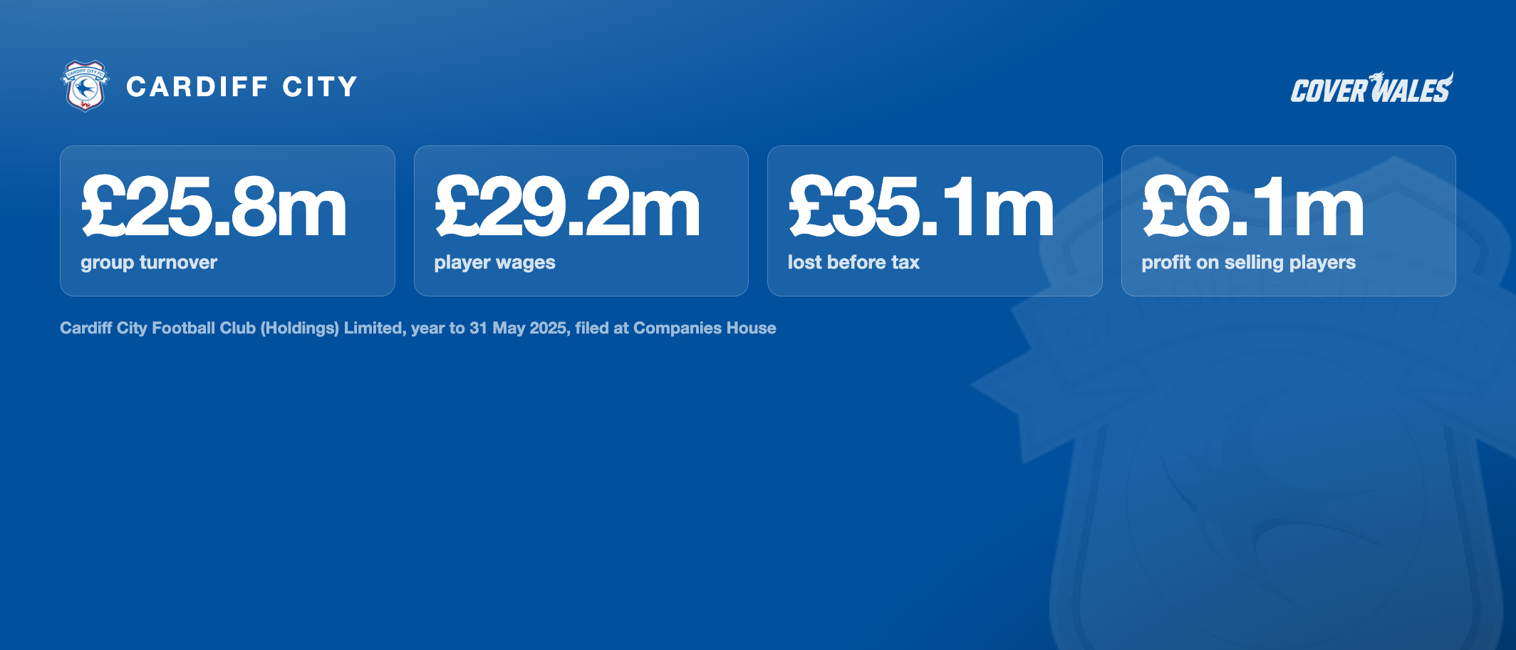 Cardiff City Holdings accounts: £25.8m group turnover, £29.2m player wages, £35.1m lost before tax, £6.1m profit on selling players