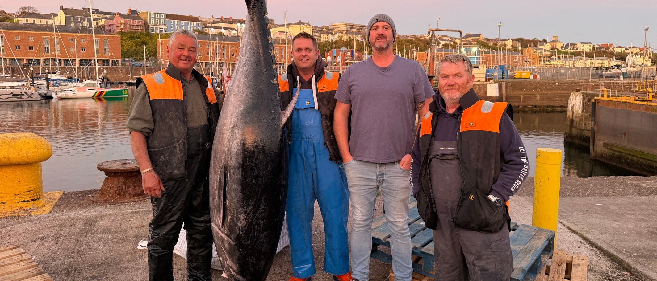 Four fishermen and traders stand either side of a large bluefin tuna hanging on the quayside at Milford Haven