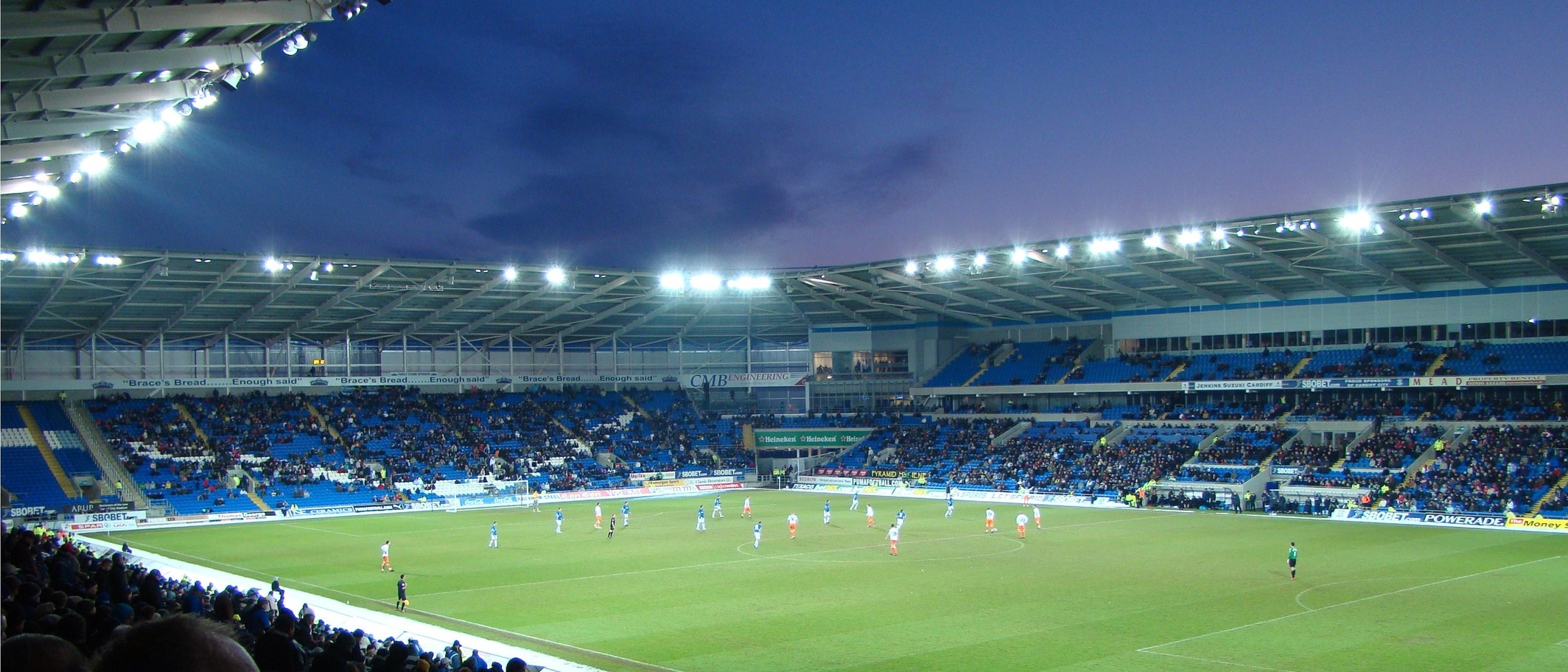 Cardiff City Stadium Pitch. Photo: Jon Candy from Cardiff, Wales, CC BY-SA 2.0, via Wikimedia Commons
