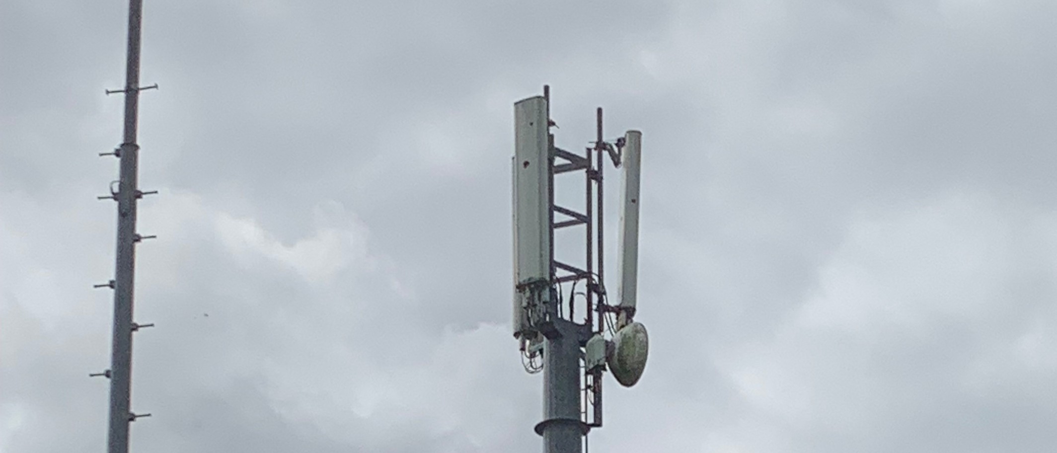 Archive: a mobile-phone mast at Gaerwen, Anglesey, 21 August 2026. This is general infrastructure context, not a farm or agreement described by FUW. Meirion / Geograph and Wikimedia Commons, CC BY-SA 2.0; cropped.