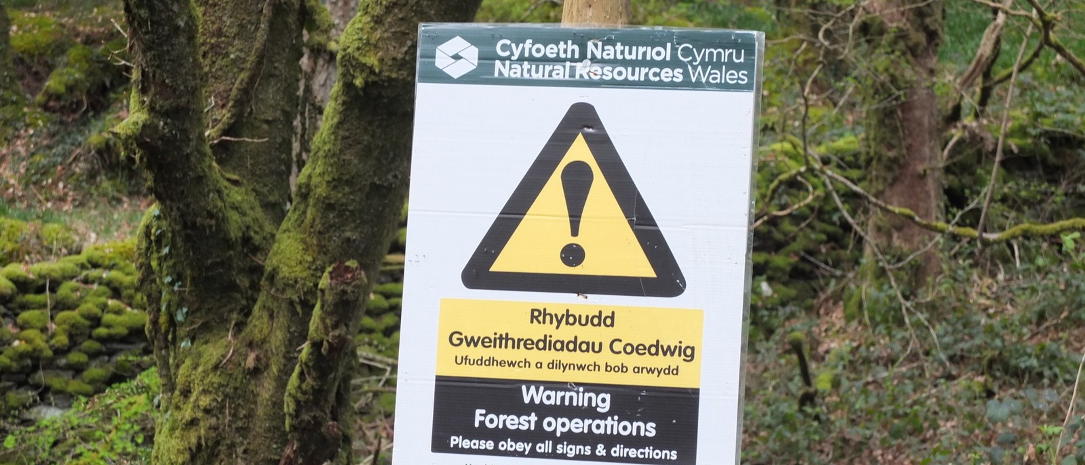 Warning Forest Operations Sign, Natural Resources Wales. Photo: Gary Rogers, CC BY-SA 2.0, via Geograph (geograph.org.uk/photo/5351740) and Wikimedia Commons