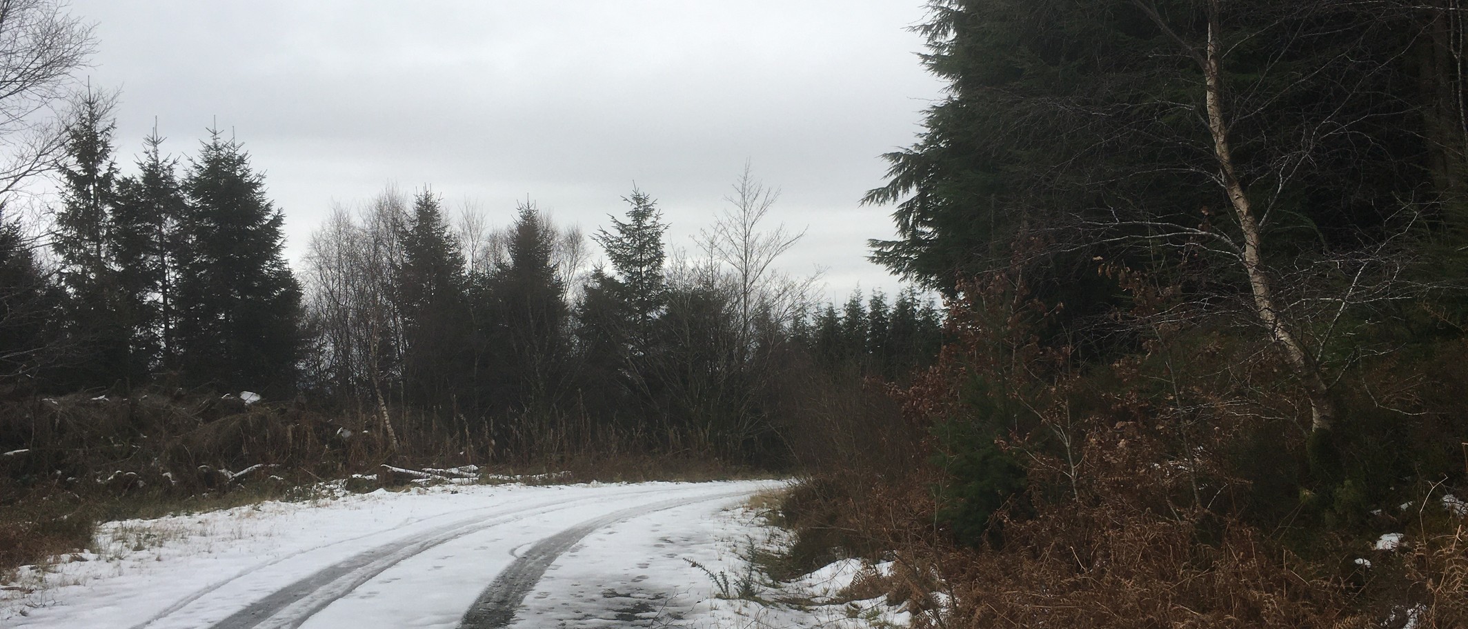 A snowy forestry road in the Dyfi Forest, photographed by Steven Brown under CC BY-SA 2.0