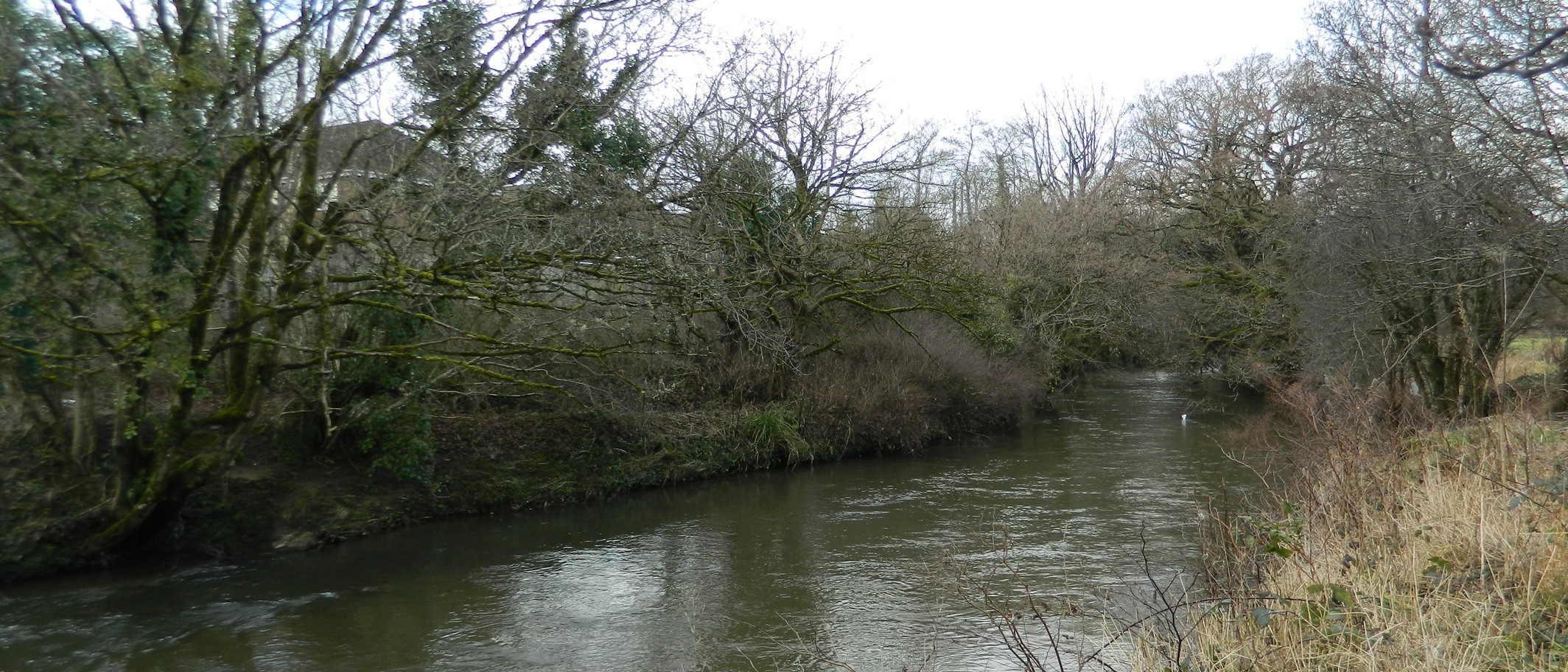 The River Ely at Brynsadler, near Pontyclun, January 2018. Archive location context, not flooding this weekend. John Lord / Geograph and Wikimedia Commons, CC BY-SA 2.0; cropped.