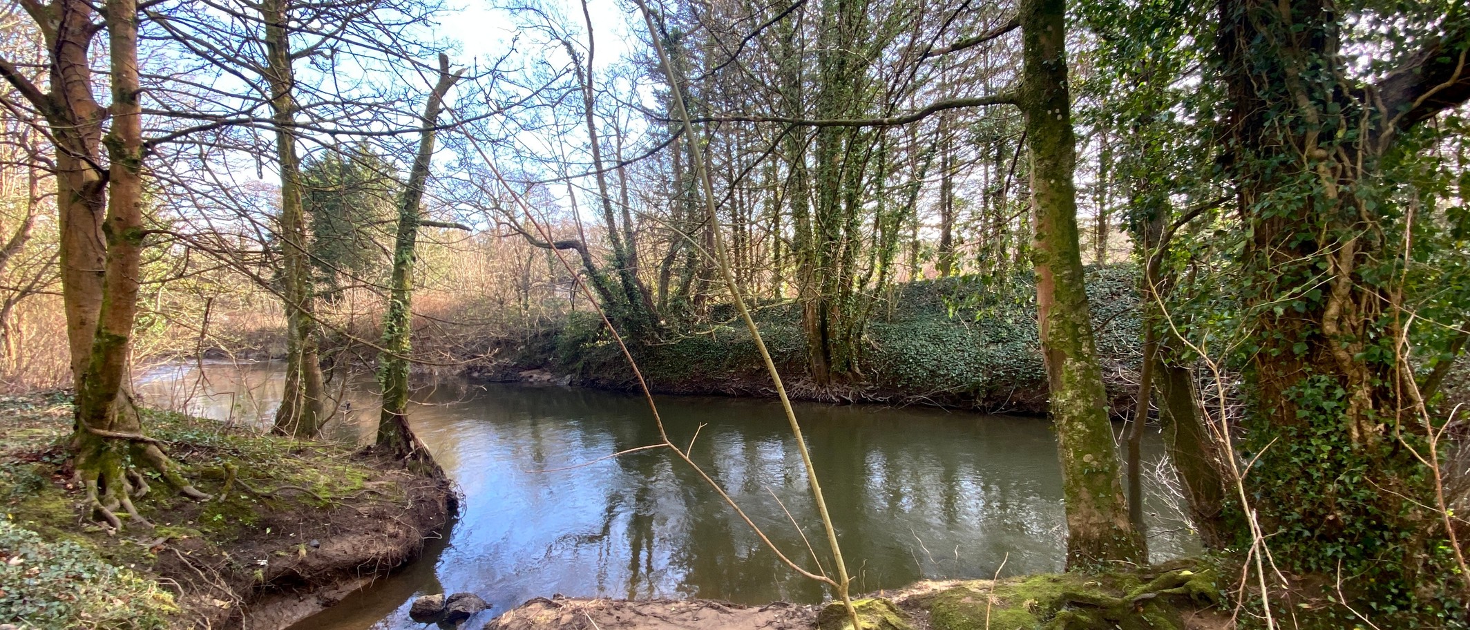 River Ely near St Fagans, 30 January 2025. Archive location context, not flooding today. Alan Hughes / Geograph and Wikimedia Commons, CC BY-SA 2.0; cropped.