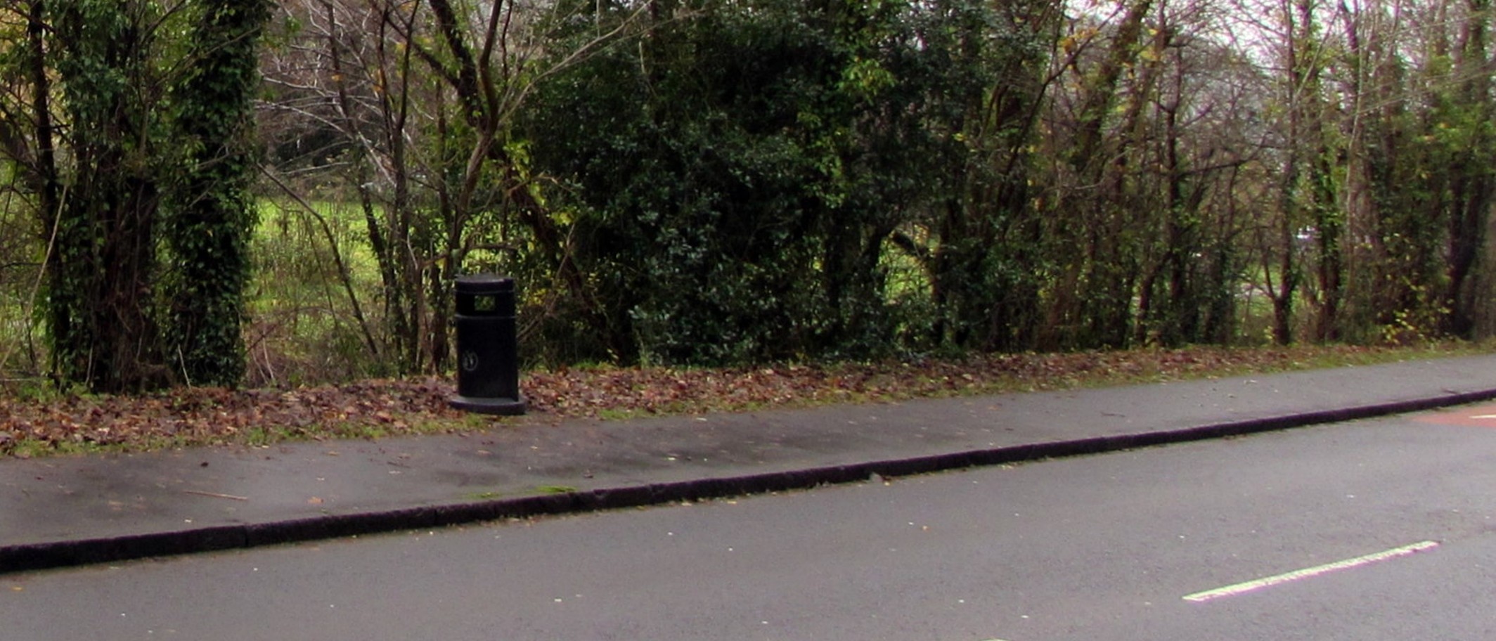 A roadside litter bin beside a road in Brecon, photographed by Jaggery under CC BY-SA 2.0