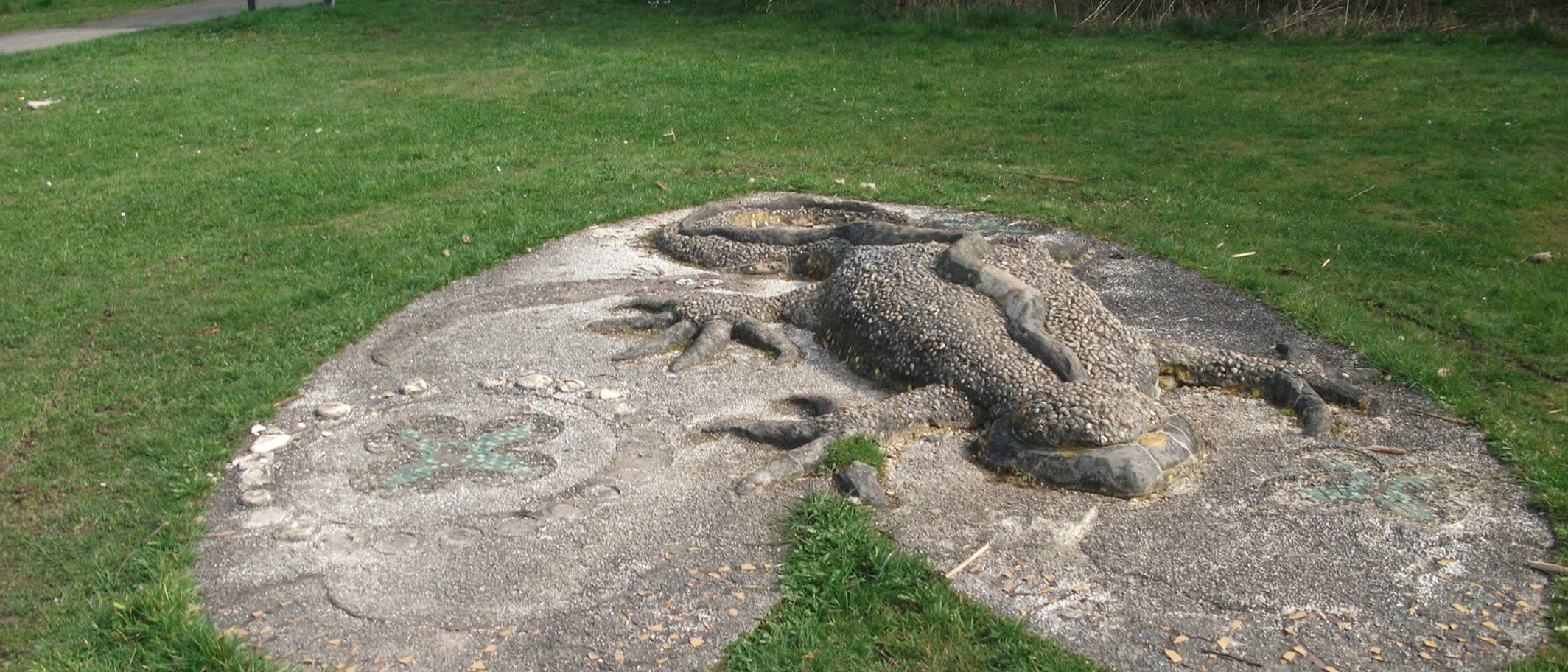 Mosaic newt at Stryt Las Park, photographed by John Haynes on 24 March 2012, CC BY-SA 2.0.