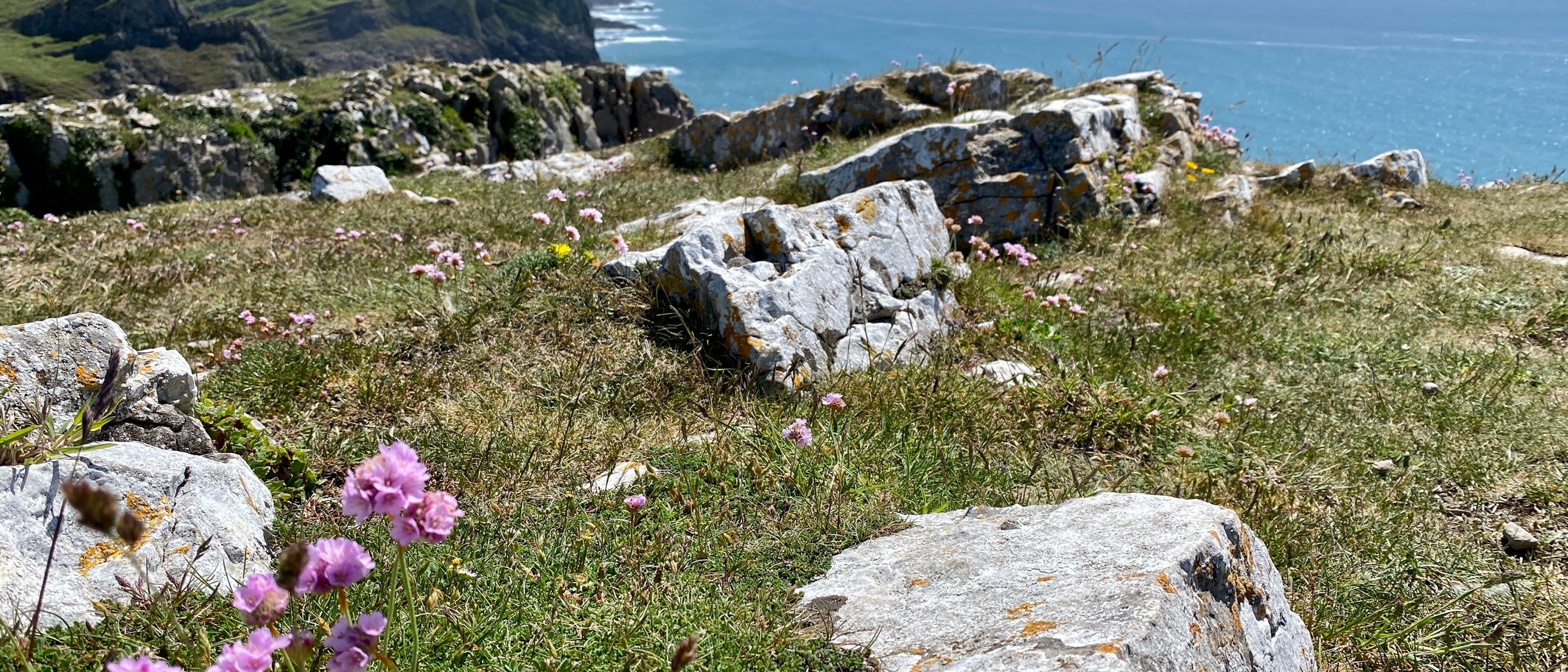 Gower coastline, May 2022. Alan Hughes / Geograph and Wikimedia Commons, CC BY-SA 2.0; cropped. One shortlisted project uses materials gathered on the Gower coast; this is location context, not a photograph of the artworks or an identified collection spot.