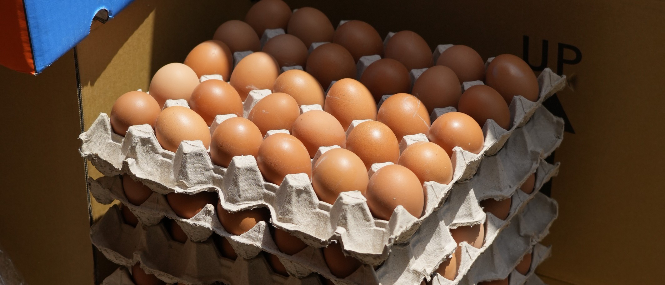 Illustrative archive: eggs in trays at a Hong Kong food shop, April 2022. These are not identified as the affected eggs. Peachyeung316, CC BY-SA 4.0.